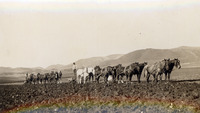 Plowing the soil thumbnail