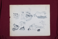 Several Animal and Human Studies thumbnail