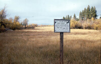 Bald Eagle Sign at Taylor Meadow thumbnail