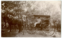 [Sinsheimer girls ride in a horse drawn carriage] thumbnail