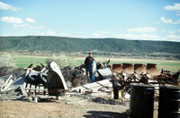 Farm animals and equipment 021 thumbnail