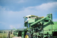 Kaber farm, Threshing winter wheat 004 thumbnail