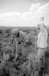 Gallegos farm, Building fences 022 thumbnail