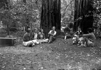Group of teenage girls sitting in a redwood forest thumbnail