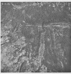 1970 2866-19-31 [Fresno County, California aerial survey, 1970] thumbnail