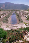 Pt. Mugu Wetlands thumbnail
