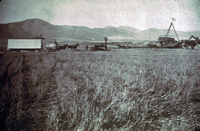 Grain Threshing in Ventura County at the turn of the 20th Century thumbnail