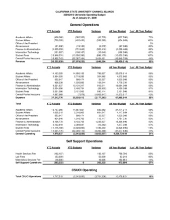 2010 January Operating report – summary thumbnail