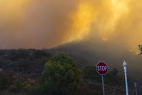 Hilltop on fire seen from San Luis Ave and Rincon Dr. thumbnail