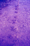 Pt. Mugu Wetlands thumbnail