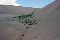 Sand dunes 018 thumbnail