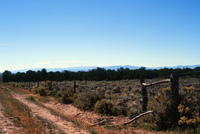 Torres ranch landscapes 006 thumbnail