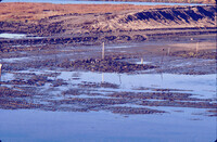 Pt. Mugu Wetlands thumbnail