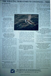 The whaling moratorium continues Why? Article thumbnail
