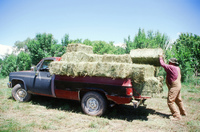 Montoya farm, Hay baling 008 thumbnail