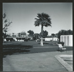 [Lawn and pool corner, Eldorado Country Club] thumbnail