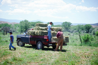 Montoya farm, Hay baling 005 thumbnail