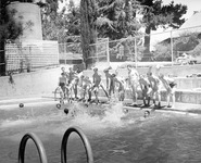 Students swimming. thumbnail