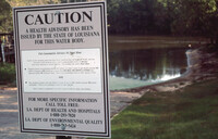 Honey Island Swamp thumbnail