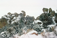 Rio Grande National Forest 011 thumbnail