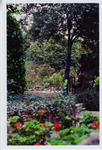 Gerber House and Garden - Family Home of Rudolf W. Gerber, M.D. and wife Catherine Gerber thumbnail