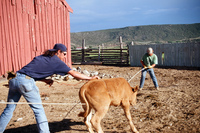 Colorado rural life 051 thumbnail