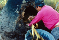 People's Ditch and hornos 003 thumbnail