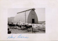 Hay BarnCamarillo State Hospital (1936-1997) thumbnail