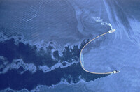 Fisherman towing a boom with their seiners in Herring Bay on Knight Island in Prince William Sound after Exxon Valdez spill on 3/24/1989 thumbnail