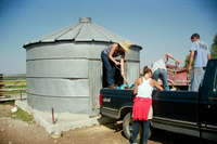 Kaber farm, Grain harvest 022 thumbnail
