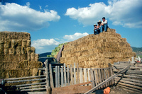 Kaber farm, Making chicos 031 thumbnail