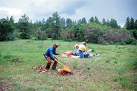 Torres ranch, Cattle drive 023 thumbnail