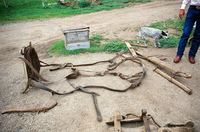 Torres ranch, Cattle drive and farm equipment demonstration 029 thumbnail