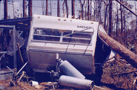 1992 Hurricane aftermath, Florida Everglades thumbnail