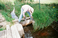 Kaber farm, Setting sluice gates 010 thumbnail