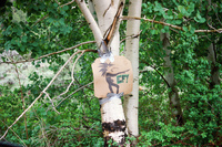 Logging protests 067 thumbnail