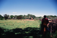 Montoya farm 001 thumbnail