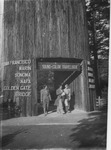 Redwood Empire thumbnail