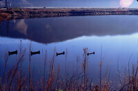 Pt. Mugu Wetlands thumbnail
