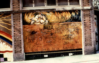 Exterior Murals at Mechicano Art Center thumbnail
