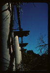 San Simeon, grounds, Pergola thumbnail