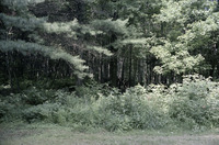 Howard and Christine Watkins' East Coast Bi-Centennial Trip thumbnail