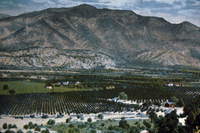 Penny Postcard of the Ojai Valley thumbnail