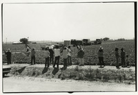 Picketers at strawberry farm thumbnail