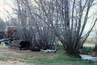 Farming in San Luis Valley 001 thumbnail