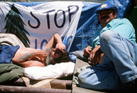 Logging protests 049 thumbnail