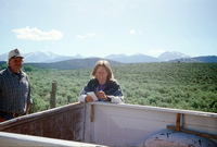 Logging protests 102 thumbnail