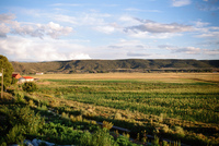 Irrigation ditch 009 thumbnail