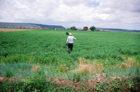 Kaber farm, Water control 032 thumbnail