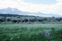 River and hay baling 019 thumbnail